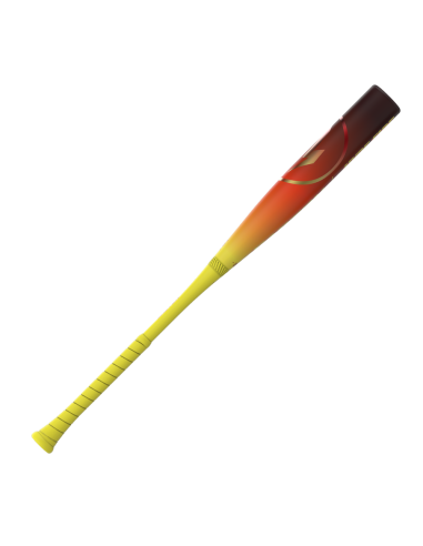 2026 Bejzbolska palica Easton HYPE FIRE 32" (-3) BBCOR