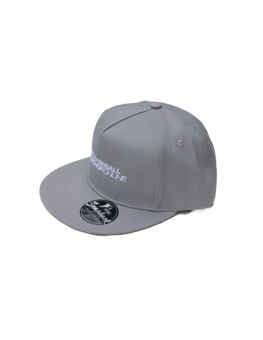 Gorra de béisbol con visera recta, color plata vieja (gris)