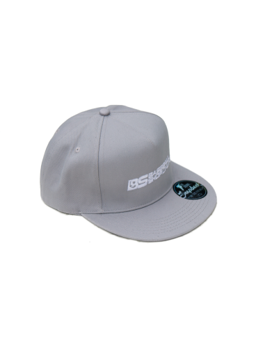 Casquette de baseball avec visière droite, couleur vieil argent (gris)
