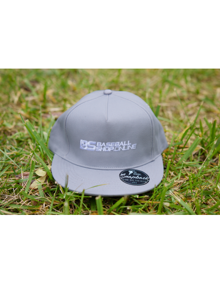 Gorra de béisbol con visera recta, color plata vieja (gris)