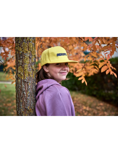 Casquette de baseball avec visière droite, couleur vieil argent (gris)