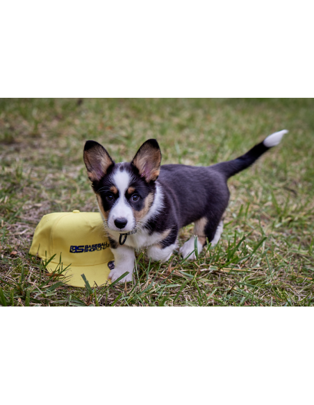Baseballpet met recht vizier, kleur appelgroen