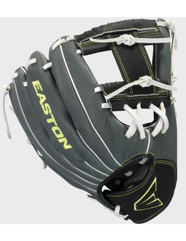 Baseballová rukavice Easton PROFESSIONAL YOUTH SERIES 10"