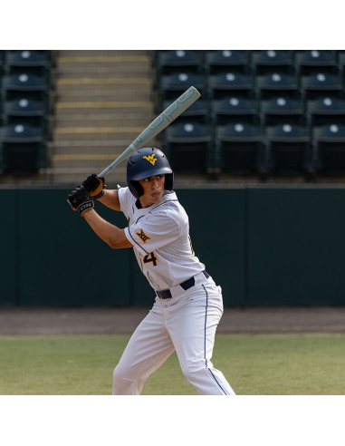 2025 Batte de baseball Easton ROPE 33"(-3) BBCOR