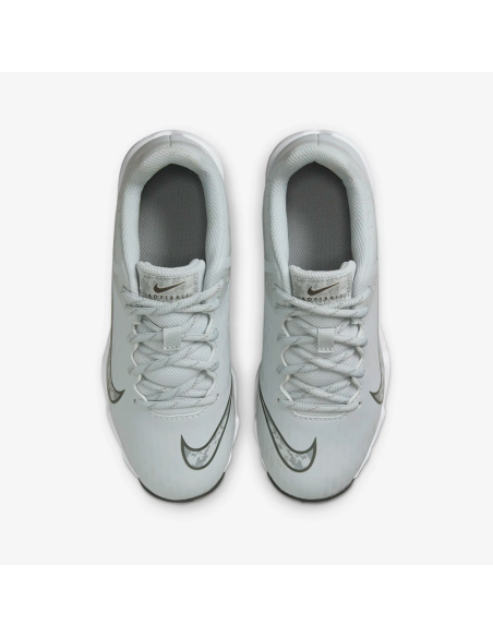 Baseball Cleats Nike Hyperdiamond 4 Keystone - grey (youth)