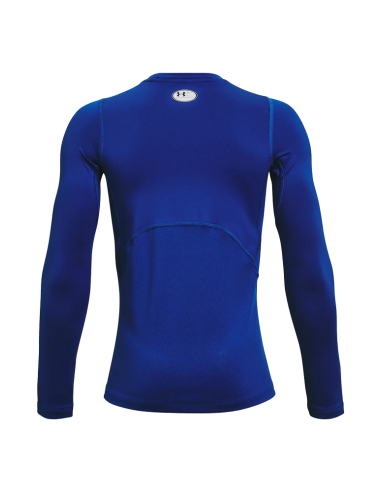 Pojk t-shirt Under Armour ColdGear® Långärmad - royal