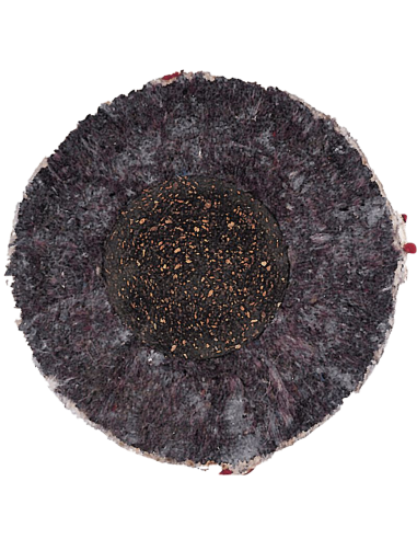 Doos (12 stuks / 1DZ) van Baseball bal Rawlings ROLB1 Officiële League Competition Grade Baseball